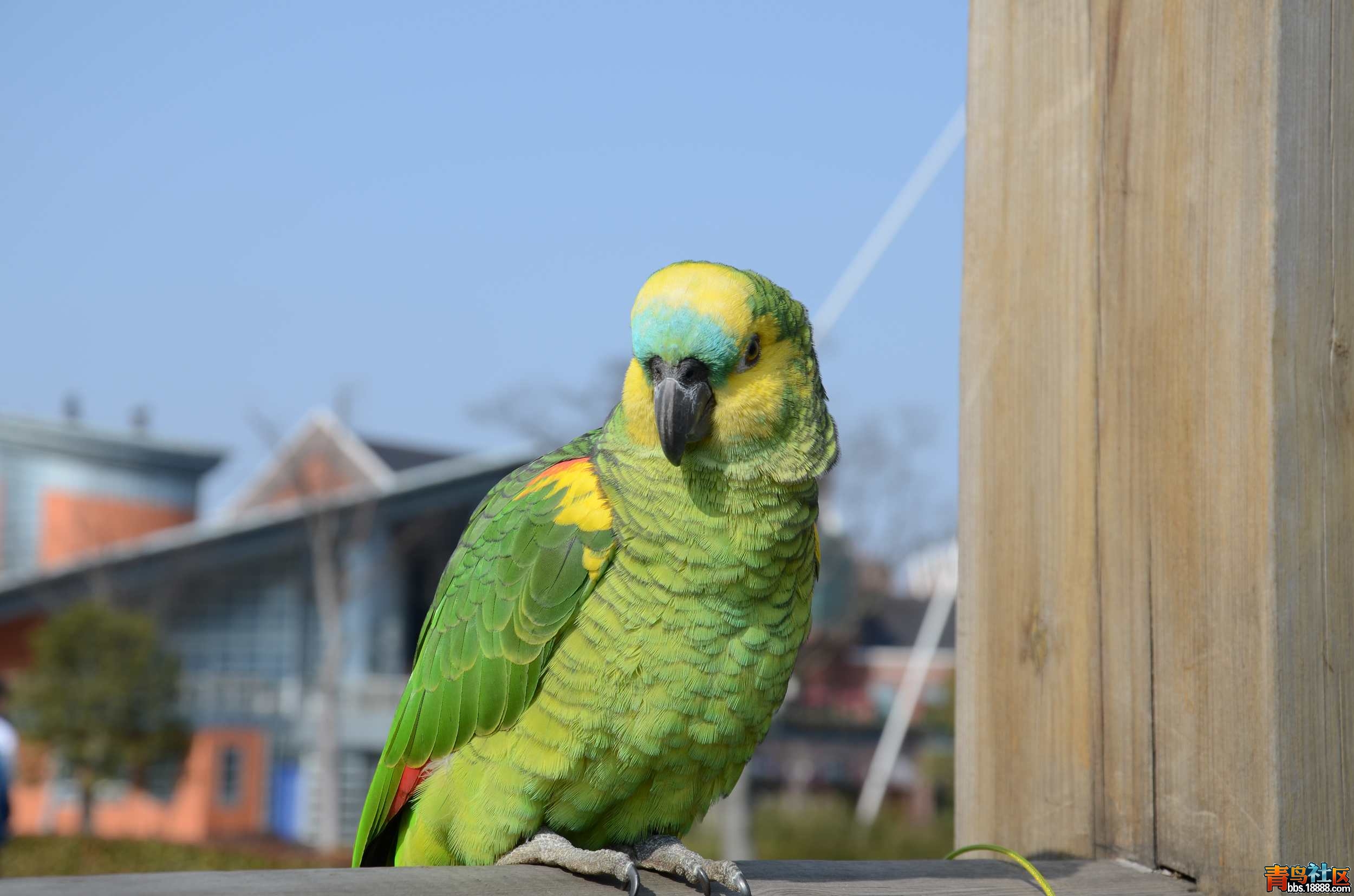 DSC_2743.jpg