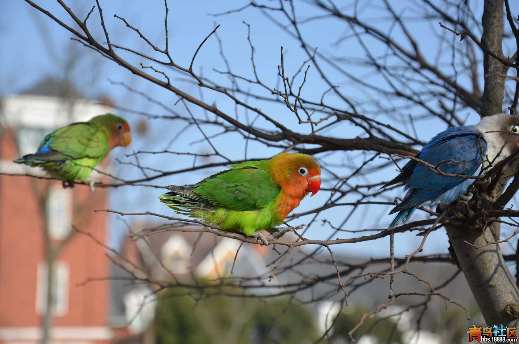 DSC_2759.jpg