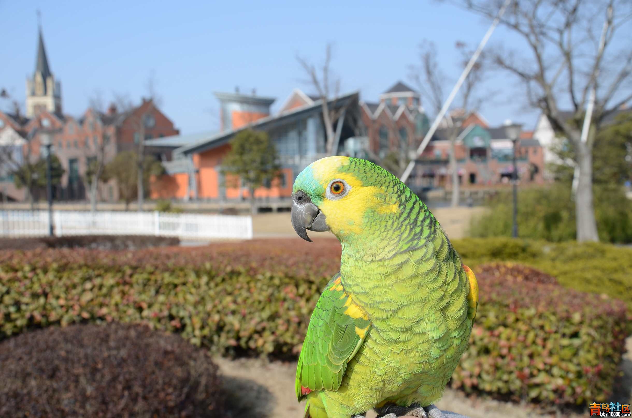 DSC_2722.jpg