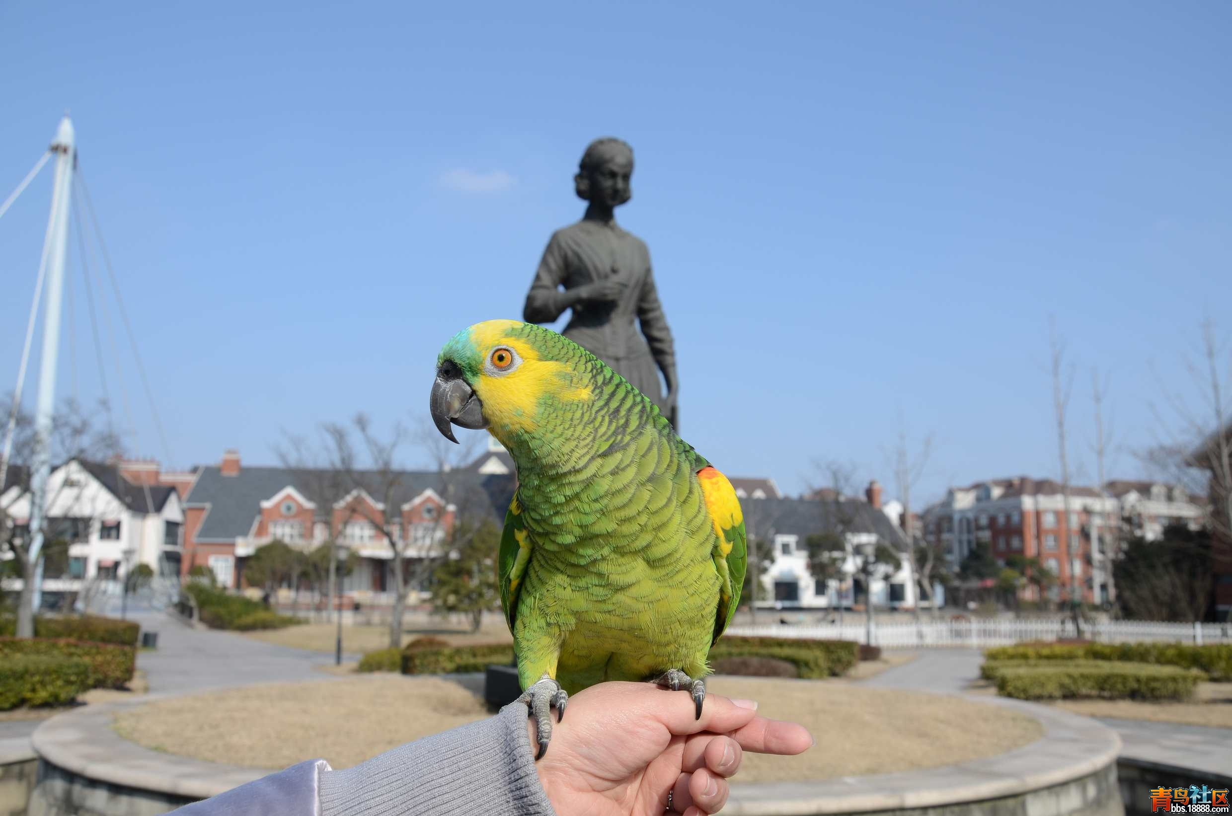 DSC_2725.jpg