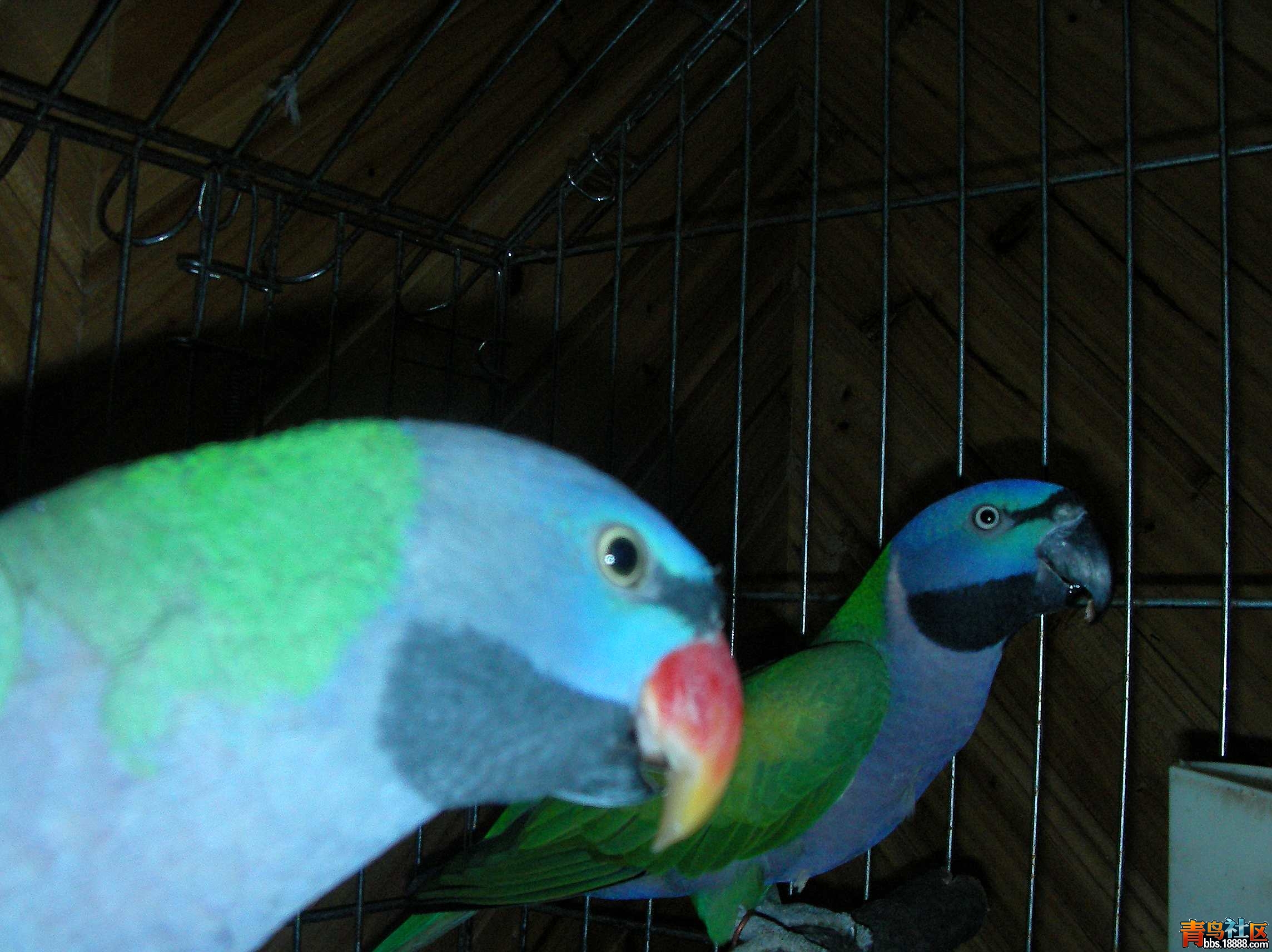 SANY0479.JPG