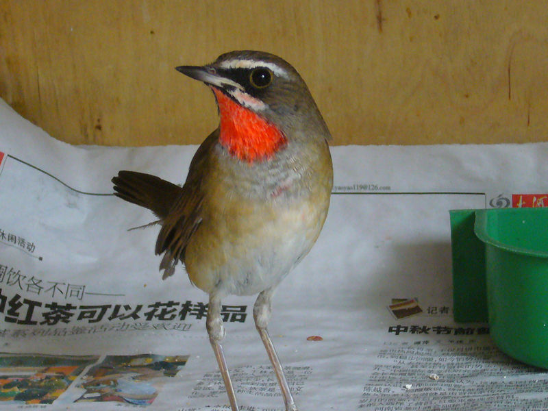 P1100973.JPG