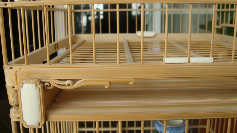 DSC03408_缩小大小.JPG