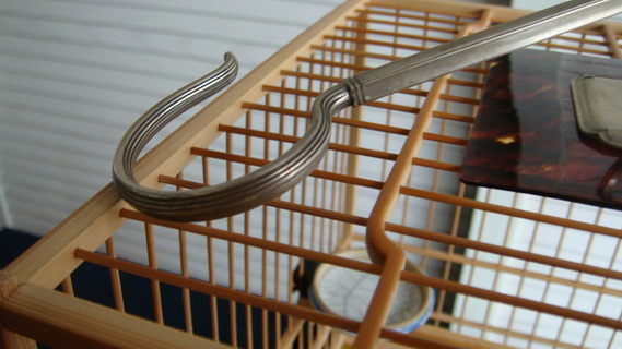 DSC04896_调整大小.JPG