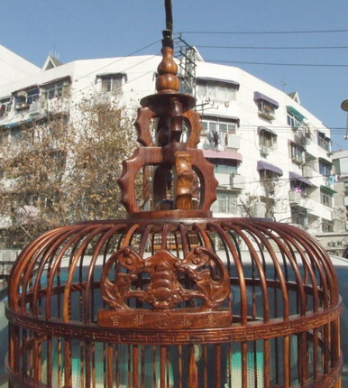 DSCF3782.jpg