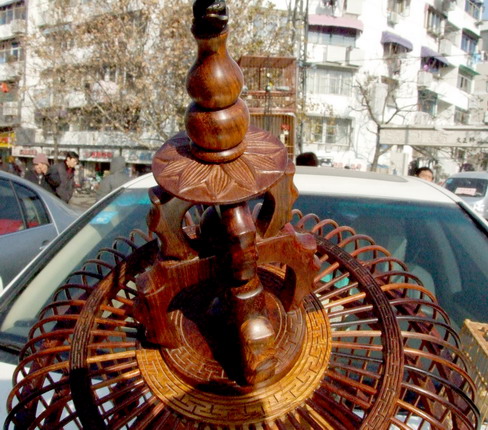 DSCF3790.jpg