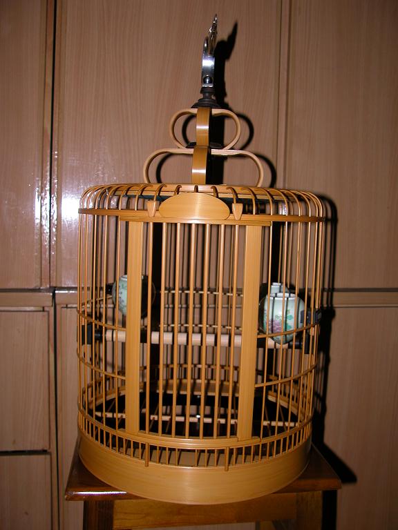 DSCN1717.JPG