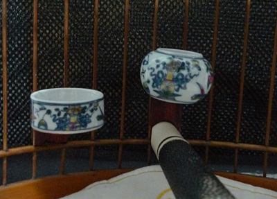 L1000949.jpg