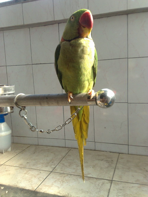 200907041451.JPG