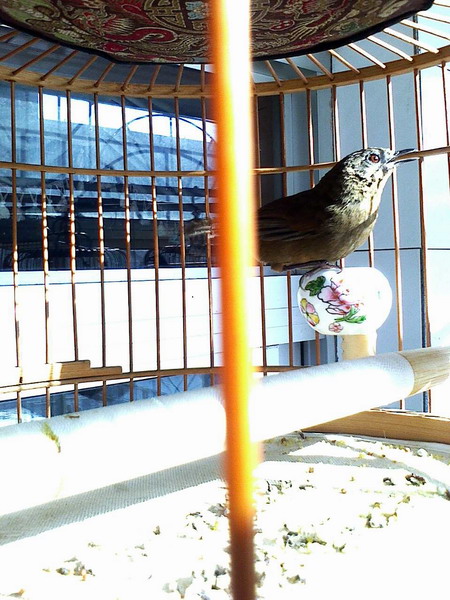 IMG00582.JPG