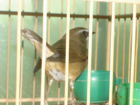 DSC04809.JPG