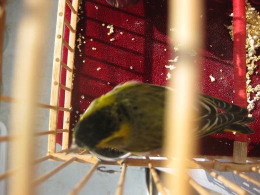 照片 049.jpg