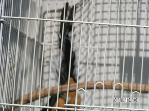 PICT0136_缩小大小.JPG