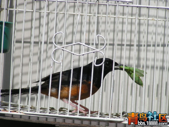 PICT0137_缩小大小.JPG