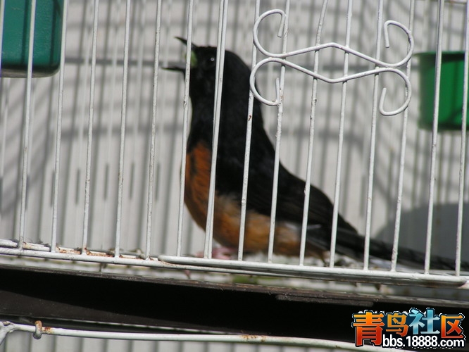 PICT0141_缩小大小.JPG