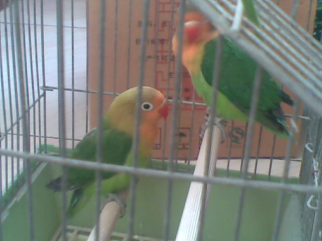 20120126(001).jpg