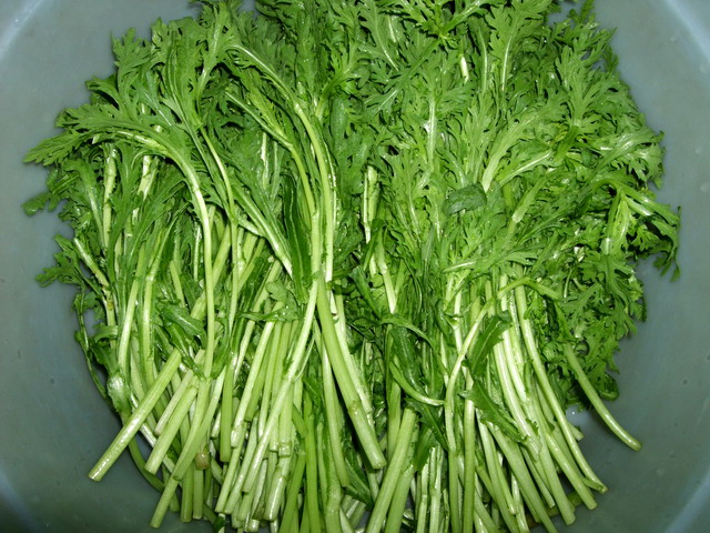 DSCF6433.jpg