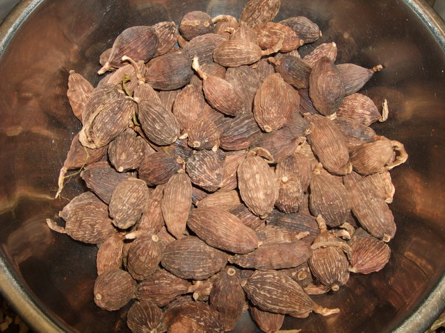 DSCF9975.jpg