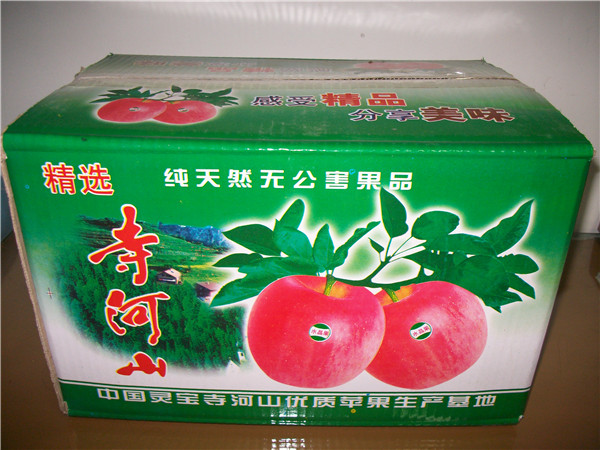 苹1_副本.jpg