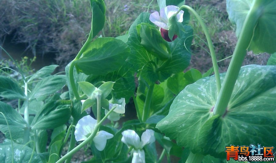 IMAG0149.jpg