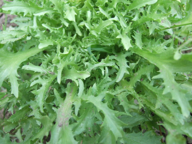 DSCF6827.JPG