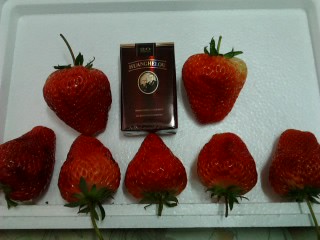 照片0279E001草莓2.jpg