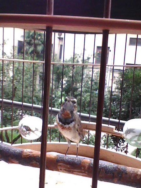 img0919_170823811.jpg