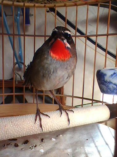 img0918_155122147.jpg
