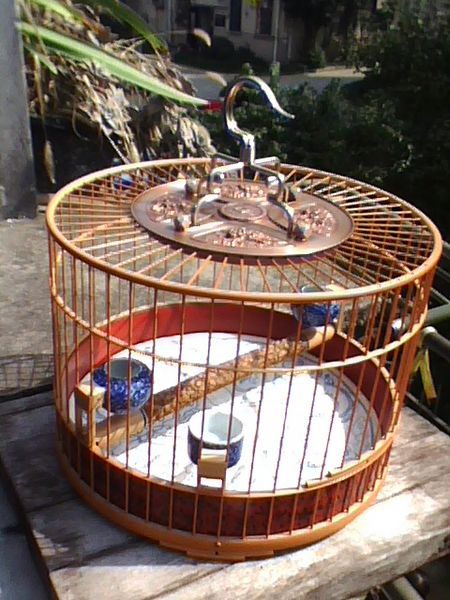 img1016_123901637.jpg