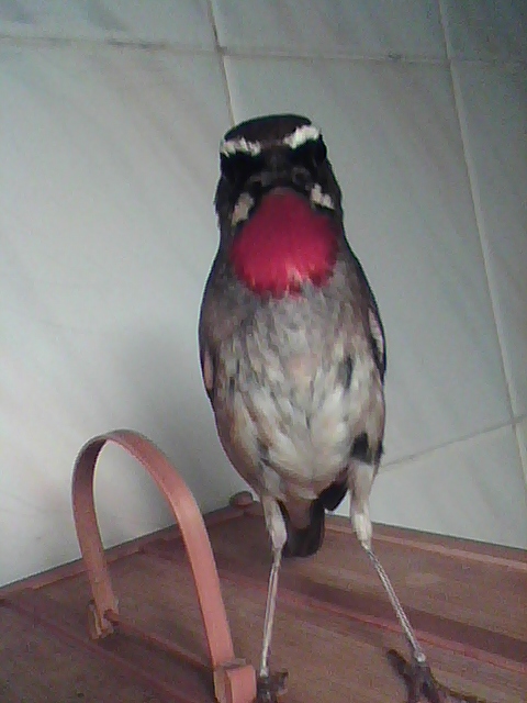 img0926_194859760.jpg