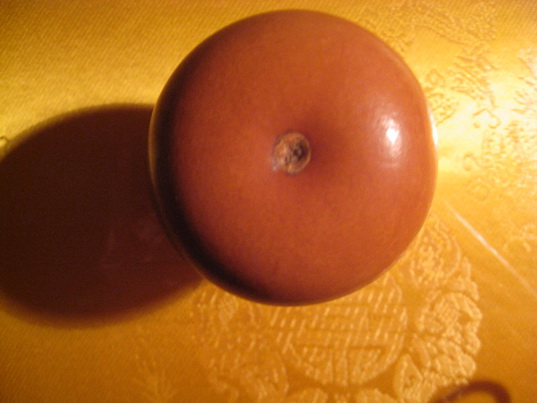 IMG_5500_调整大小.JPG