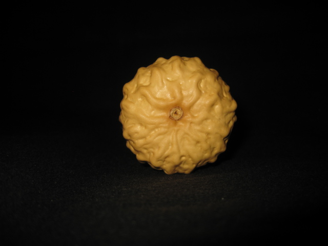 照片 5292.jpg