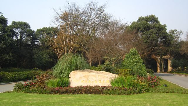 8.JPG