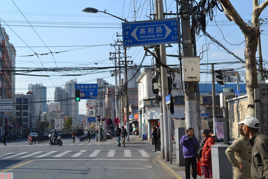 nEO_IMG_高阳路花鸟市场 001.jpg