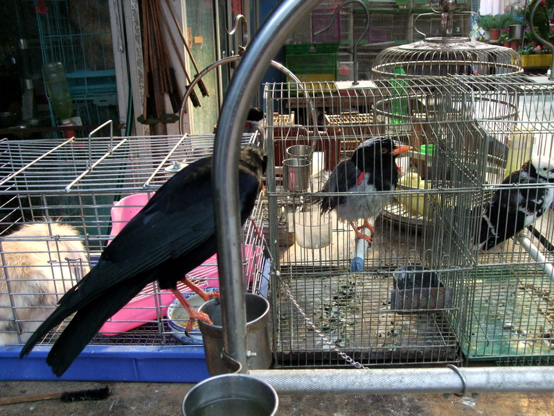 DSCF0166.jpg