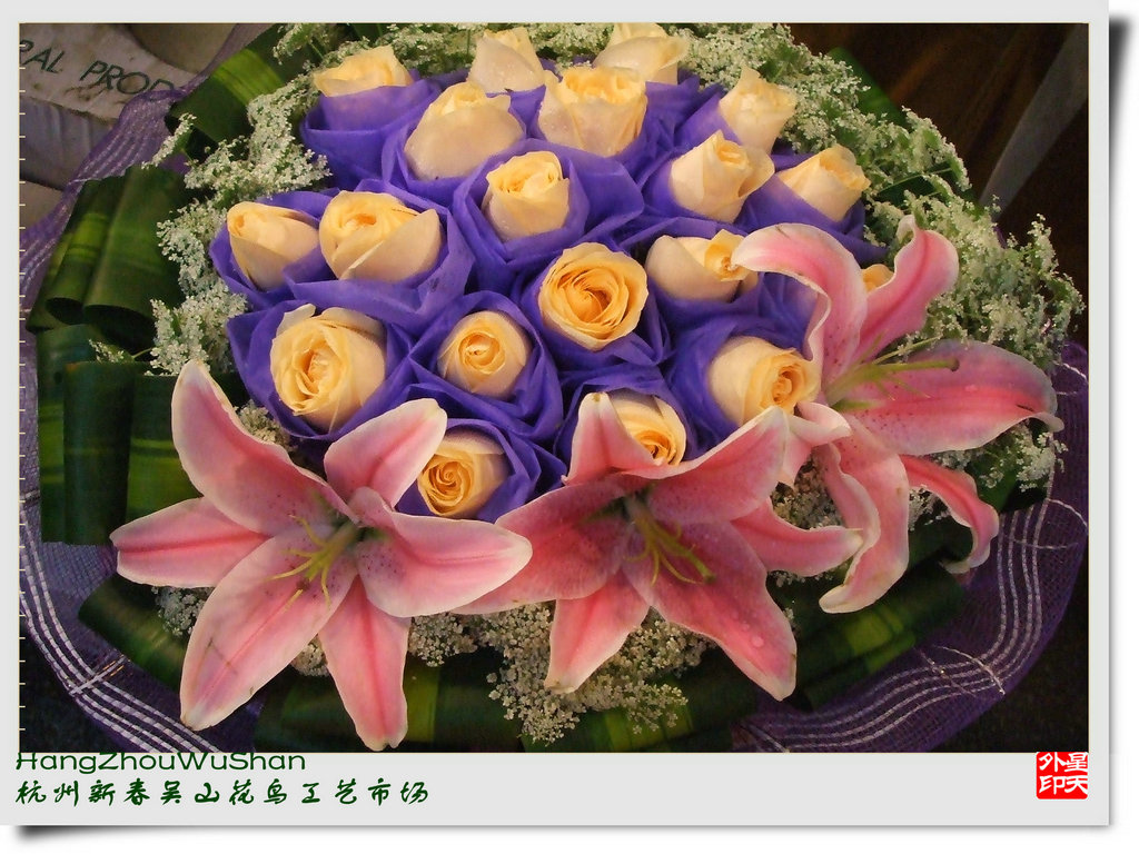 DSCF9877.JPG