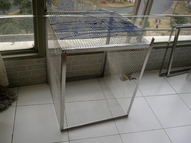 20120116886.jpg