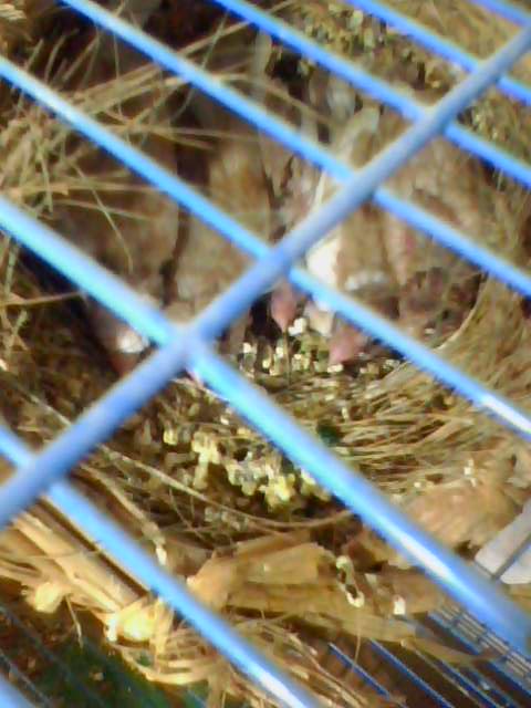 IMG0121A.jpg