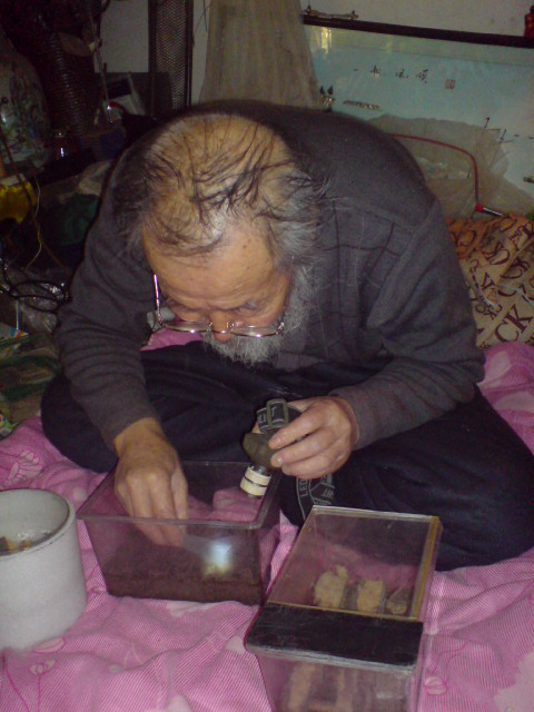 laozhou2.JPG