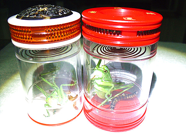CIMG4486_副本.jpg