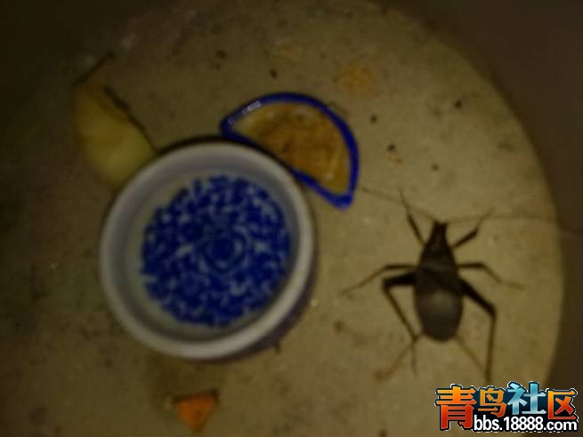 图片9.jpg