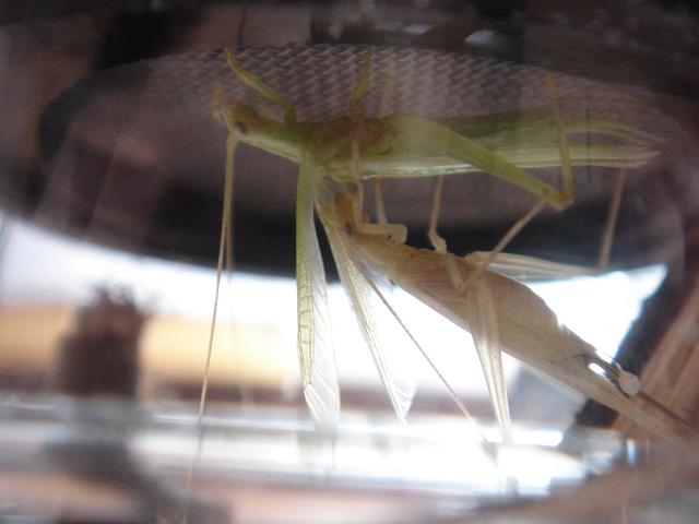 DSC04842.JPG