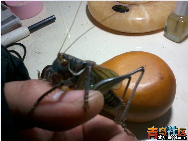 未1命名.jpg