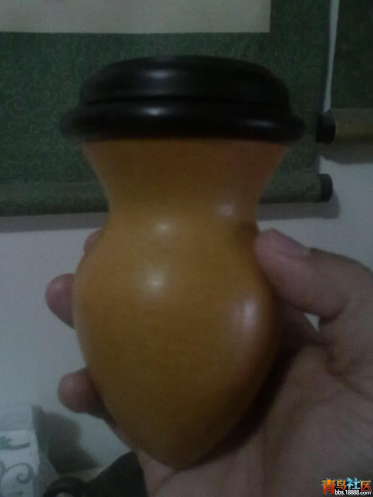 20120115086.jpg