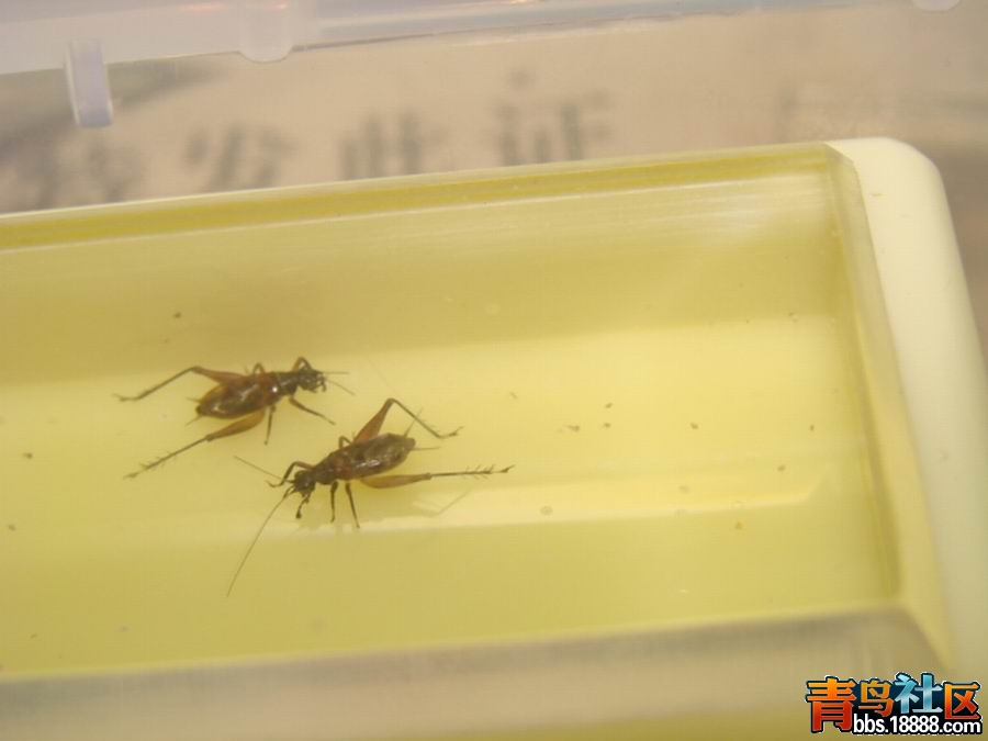 调整大小 DSC04837.JPG