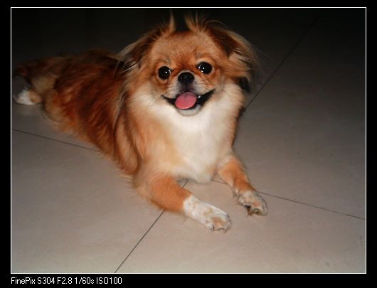 DSCF0050.JPG