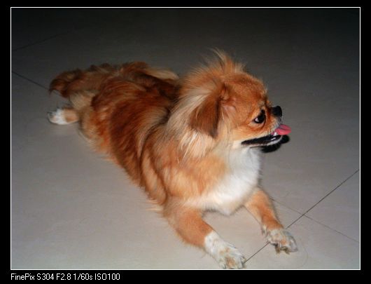 DSCF0041.JPG