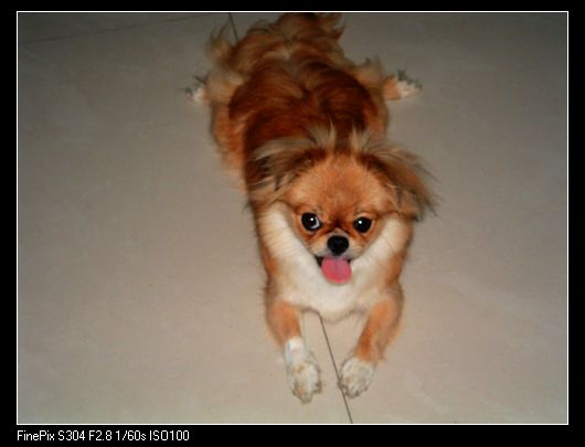DSCF0027.JPG