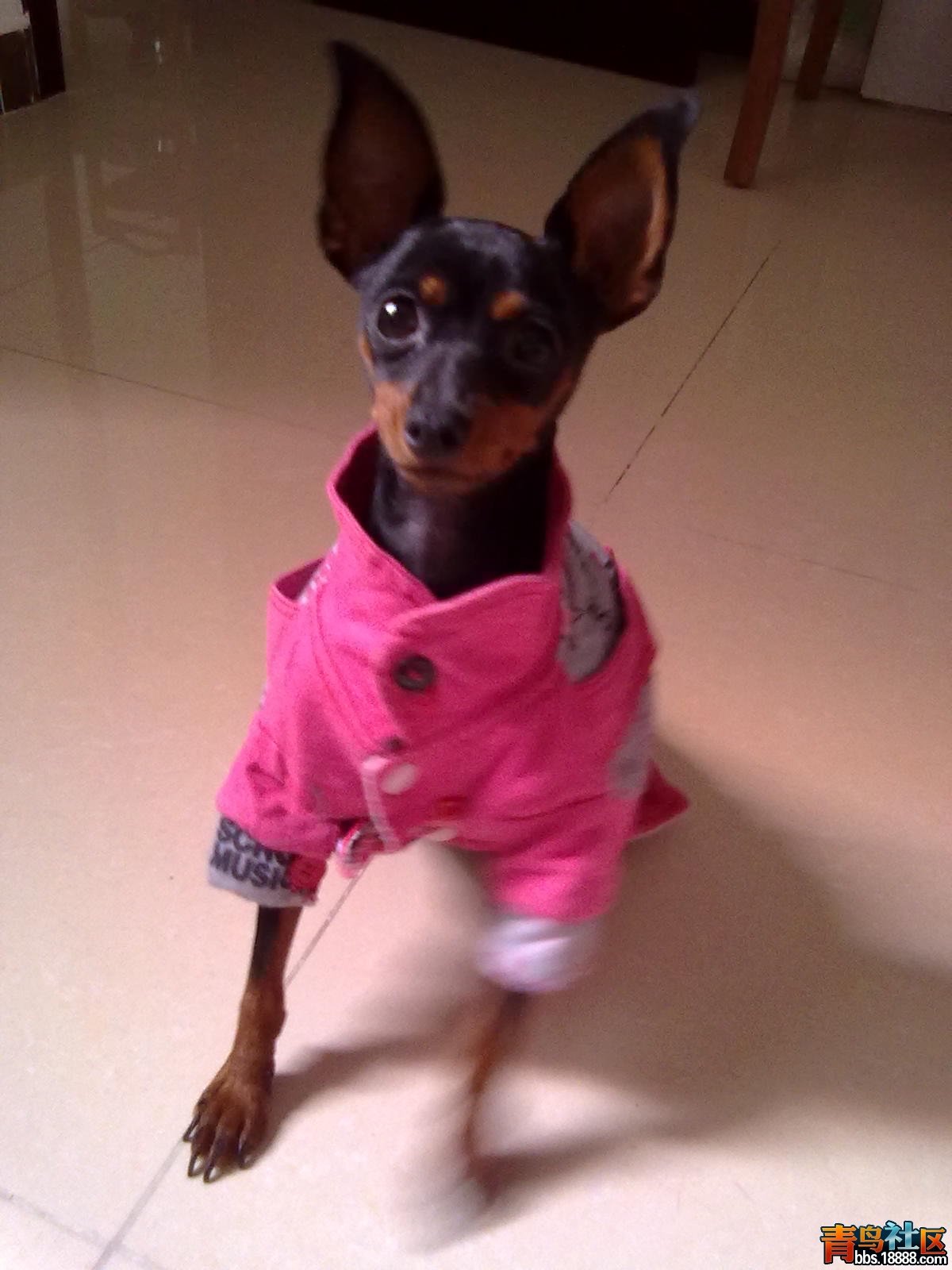 20110918224.jpg