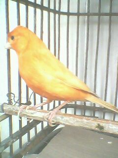 IMG0191A.jpg